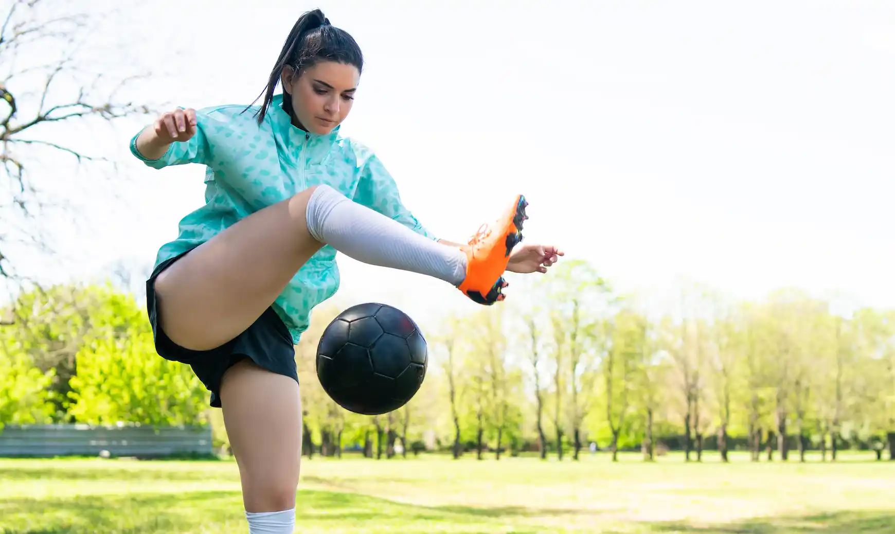 download – 2026-01-23T172025.039_11zon